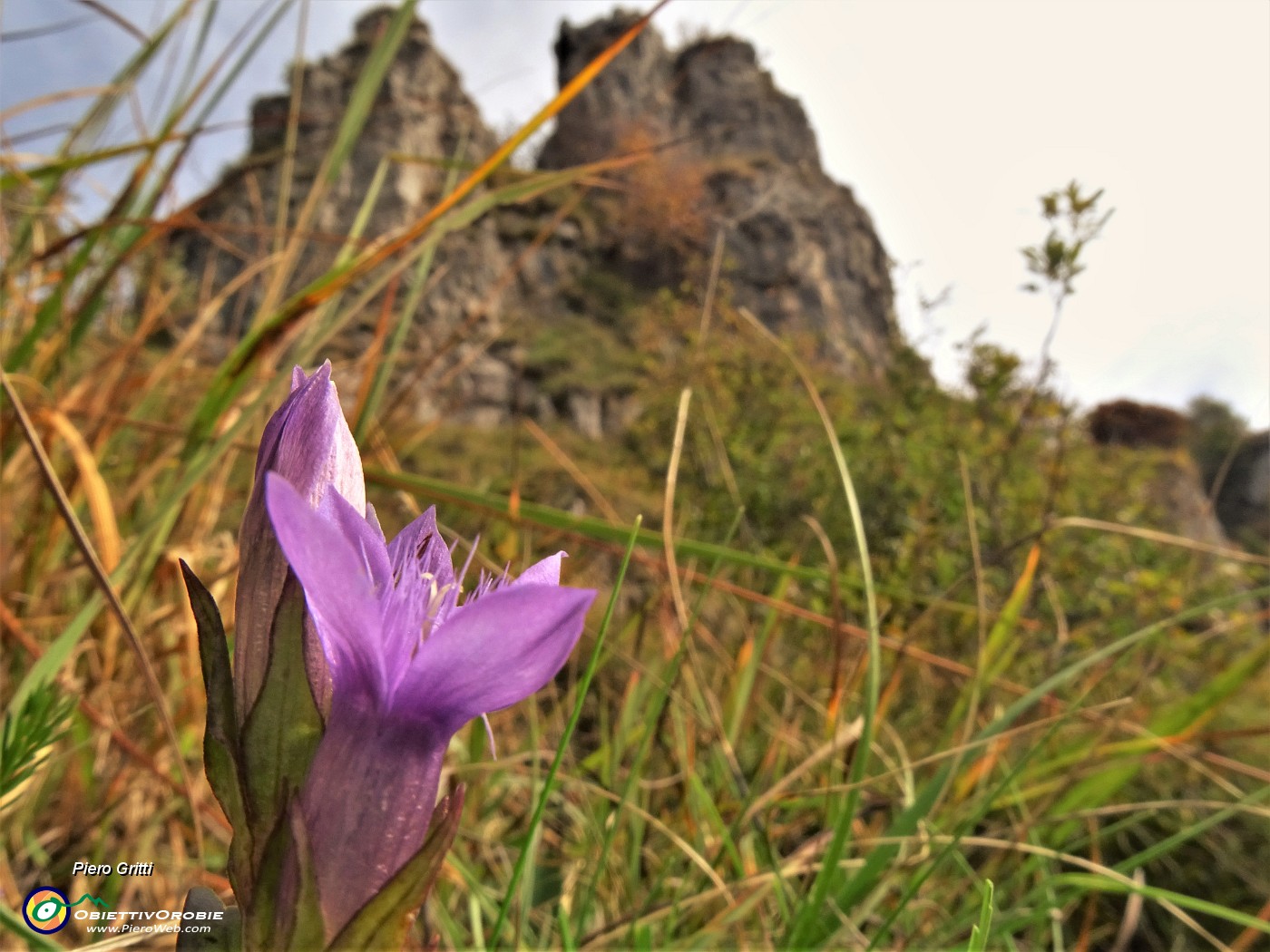 36 Baciata dal sole d'ottobre rimango ben fiorita di fronte ai roccioni del Foldone.JPG